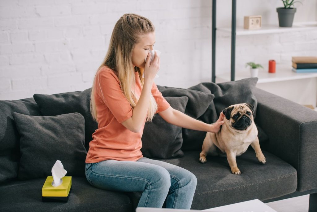allergie-chien