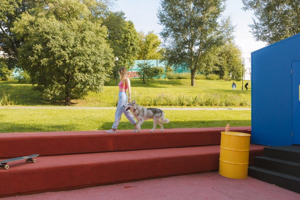 Promeneur de chien